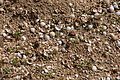 Bernhard Saalfeld - DSC03097.JPG