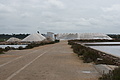 Bernhard Saalfeld - DSC03106.JPG