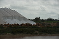 Bernhard Saalfeld - DSC03112.JPG