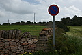 Bernhard Saalfeld - DSC03150.JPG