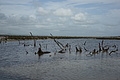 Bernhard Saalfeld - DSC03160.JPG