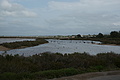 Bernhard Saalfeld - DSC03162.JPG