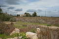 Bernhard Saalfeld - DSC03168.JPG