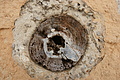 Bernhard Saalfeld - DSC03203.JPG