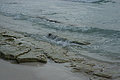 Bernhard Saalfeld - DSC03218.JPG