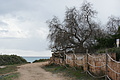 Bernhard Saalfeld - DSC03235.JPG