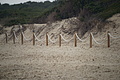 Bernhard Saalfeld - DSC03307.JPG
