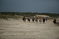 Bernhard Saalfeld - DSC03323.JPG