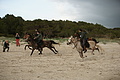 Bernhard Saalfeld - DSC03331.JPG