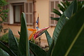 Bernhard Saalfeld - DSC03341.JPG