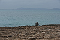 Bernhard Saalfeld - DSC03367.JPG
