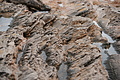 Bernhard Saalfeld - DSC03379.JPG