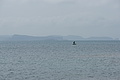 Bernhard Saalfeld - DSC03397.JPG