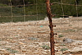 Bernhard Saalfeld - DSC03398.JPG