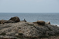 Bernhard Saalfeld - DSC03399.JPG