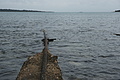 Bernhard Saalfeld - DSC03441.JPG