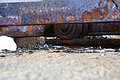 Bernhard Saalfeld - DSC03448.JPG
