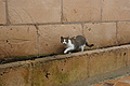 Bernhard Saalfeld - DSC03475.JPG