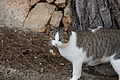 Bernhard Saalfeld - DSC03478.JPG