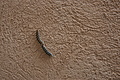 Bernhard Saalfeld - DSC03499.JPG