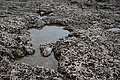 Bernhard Saalfeld - DSC03519.JPG