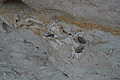 Bernhard Saalfeld - DSC03531.JPG