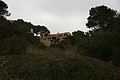 Bernhard Saalfeld - DSC03540.JPG