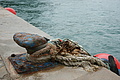Bernhard Saalfeld - DSC03600.JPG