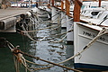 Bernhard Saalfeld - DSC03632.JPG