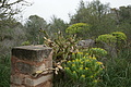 Bernhard Saalfeld - DSC03649.JPG