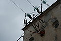 Bernhard Saalfeld - DSC03654.JPG