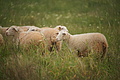 Bernhard Saalfeld - DSC03678.JPG