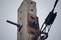 Bernhard Saalfeld - DSC03683.JPG