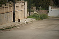 Bernhard Saalfeld - DSC03685.JPG