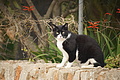 Bernhard Saalfeld - DSC03692.JPG