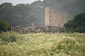 Bernhard Saalfeld - DSC03698.JPG