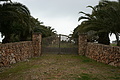 Bernhard Saalfeld - DSC03704.JPG