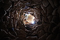 Bernhard Saalfeld - DSC03705.JPG