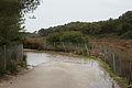 Bernhard Saalfeld - DSC03774.JPG