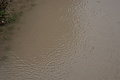 Bernhard Saalfeld - DSC03775.JPG