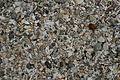 Bernhard Saalfeld - DSC03788.JPG