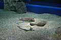Bernhard Saalfeld - DSC03795.JPG