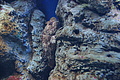 Bernhard Saalfeld - DSC03804.JPG