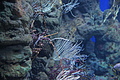 Bernhard Saalfeld - DSC03806.JPG