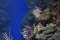 Bernhard Saalfeld - DSC03807.JPG