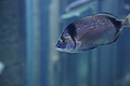 Bernhard Saalfeld - DSC03818.JPG