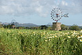 Bernhard Saalfeld - DSC03856.JPG