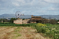 Bernhard Saalfeld - DSC03858.JPG