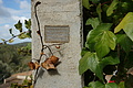 Bernhard Saalfeld - DSC03873.JPG