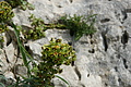 Bernhard Saalfeld - DSC03886.JPG